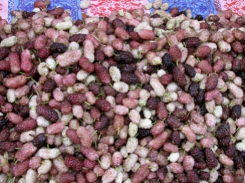 Gooseberries in Fes